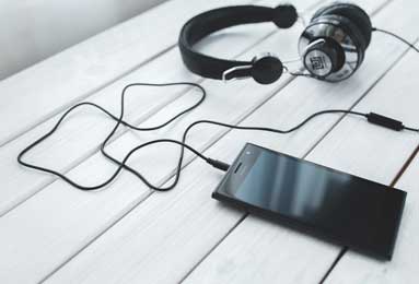 地打一生肖、正确解释与落实